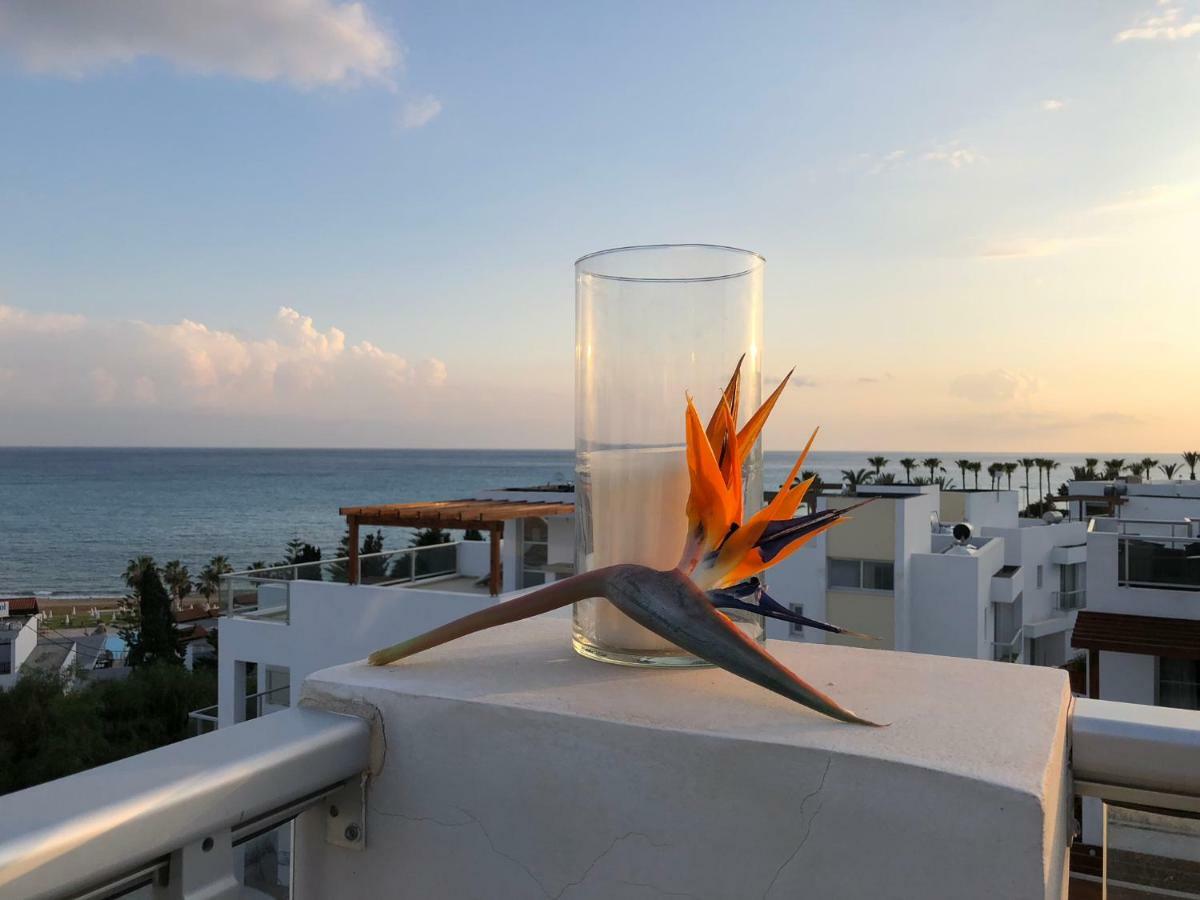 Marina View Villa 11 Peyia Bagian luar foto